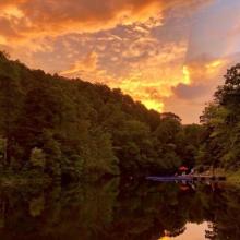 CAP summer camp goes online during COVID-19